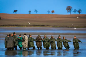 Rybarstvi Hluboka - Fish Pond Harvests