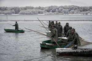 Rybarstvi Hluboka - Fish Pond Harvests