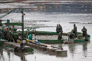 Rybarstvi Hluboka - Fish Pond Harvests