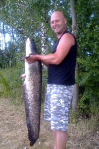 Catfish, 130 cm, 16 kg, Pond Jaderny