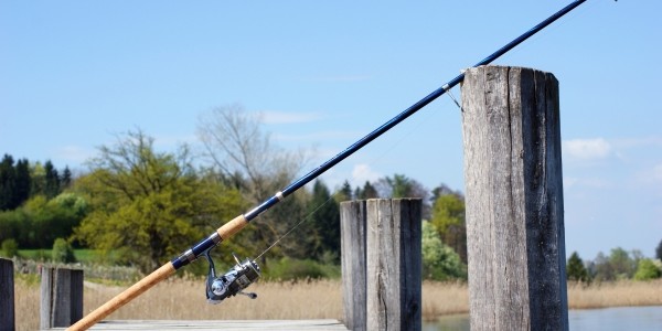 Rybářství Hluboká - Initiation of Sport Fishing