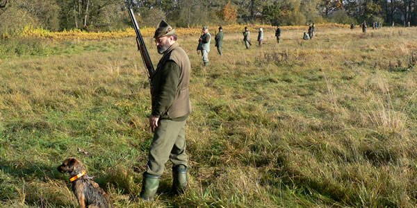 Rybarstvi Hluboka - Hunting