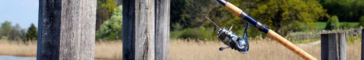 Illustrative photo (Rybarstvi Hluboka - Sport Fishing ponds)