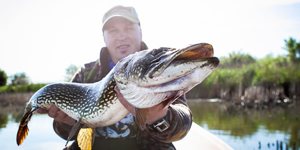 Rybarstvi Hluboka - Sportfischen