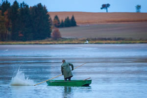 Rybarstvi Hluboka - Fish Pond Harvests