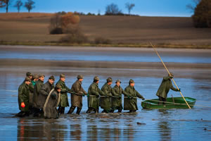 Rybarstvi Hluboka - Fish Pond Harvests