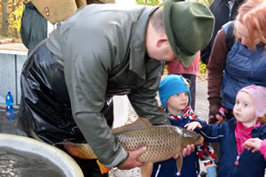 Rybarstvi Hluboka - Fish Pond Harvests (Pond Municky, 2016)