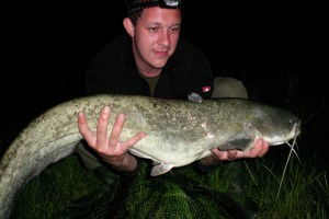 Catfish, Pond Jaderny