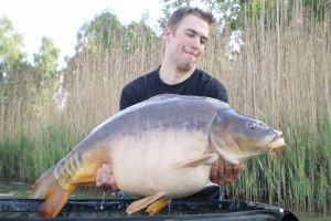 Karpfen, 95 cm, 18.5 kg, Teich Mydlovarsky