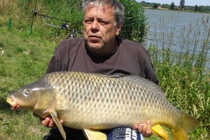 Karpfen, 100 cm, 19.6 kg, Teich Jaderny