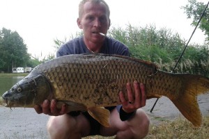 Carp, Pond Jaderny