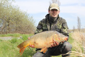 Carp, Pond Jaderny