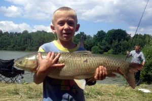 Grass Carp, Pond Jaderny