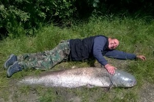 Catfish, 170 cm, Pond Jaderny