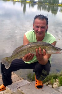 Pike perch, Pond Jaderny