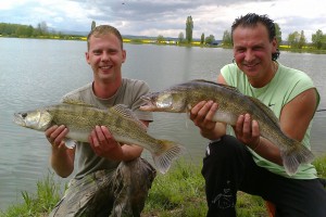 Pike perch, Pond Jaderny