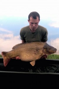 Carp, Pond Jaderny