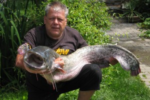 Wels, 150 cm, 24 kg, Teich Jaderny