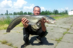 Catfish, Pond Jaderny