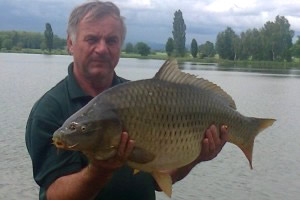 Carp, Pond Jaderny