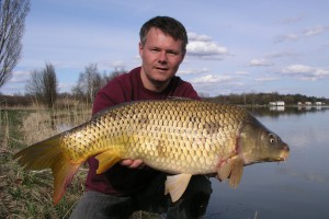 Carp, Pond Jaderny