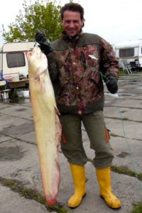 Catfish, Pond Jaderny