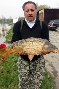 Carp, Pond Jaderny