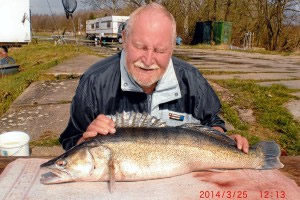 Zander, 97 cm, 7.5 kg, Teich Jaderny