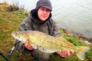 Pike perch, Pond Jaderny