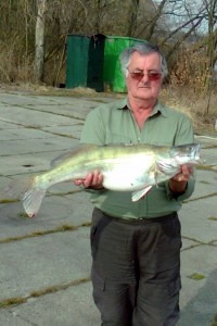 Zander, 96 cm, 5.5 kg, Teich Jaderny