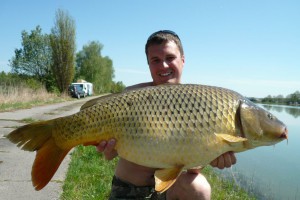 Carp, Pond Jaderny