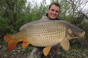 Carp, Pond Jaderny