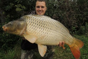 Carp, Pond Jaderny