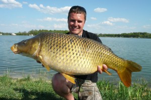 Carp, Pond Jaderny