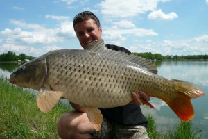 Carp, Pond Jaderny