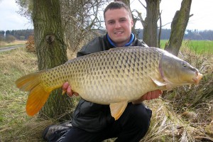 Carp, Pond Jaderny