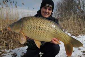 Carp, Pond Jaderny