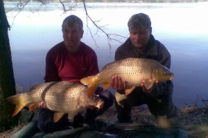 Carp, Pond Jaderny