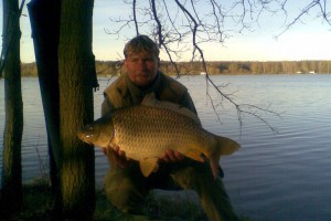 Carp, Pond Jaderny