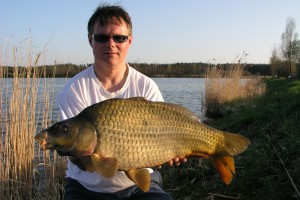 Karpfen, Teich Jaderny