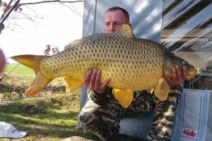 Carp, Pond Jaderny