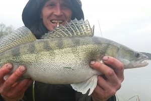 Pike perch, Pond Jaderny