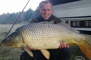 Carp, Pond Jaderny