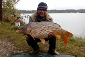 Carp, Pond Jaderny