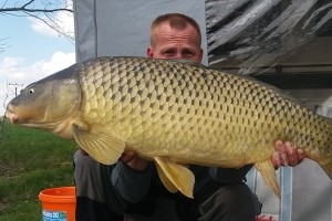 Karpfen, Teich Jaderny