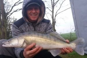 Pike perch, Pond Jaderny