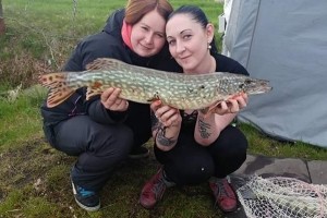 Pike, Pond Jaderny