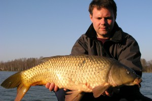 Carp, Pond Jaderny