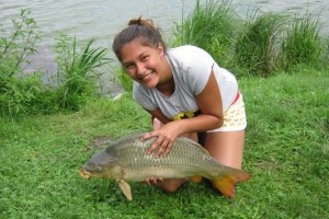 Carp, Pond Jaderny