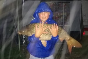 Carp, 90 cm, 15 kg, Pond Jaderny